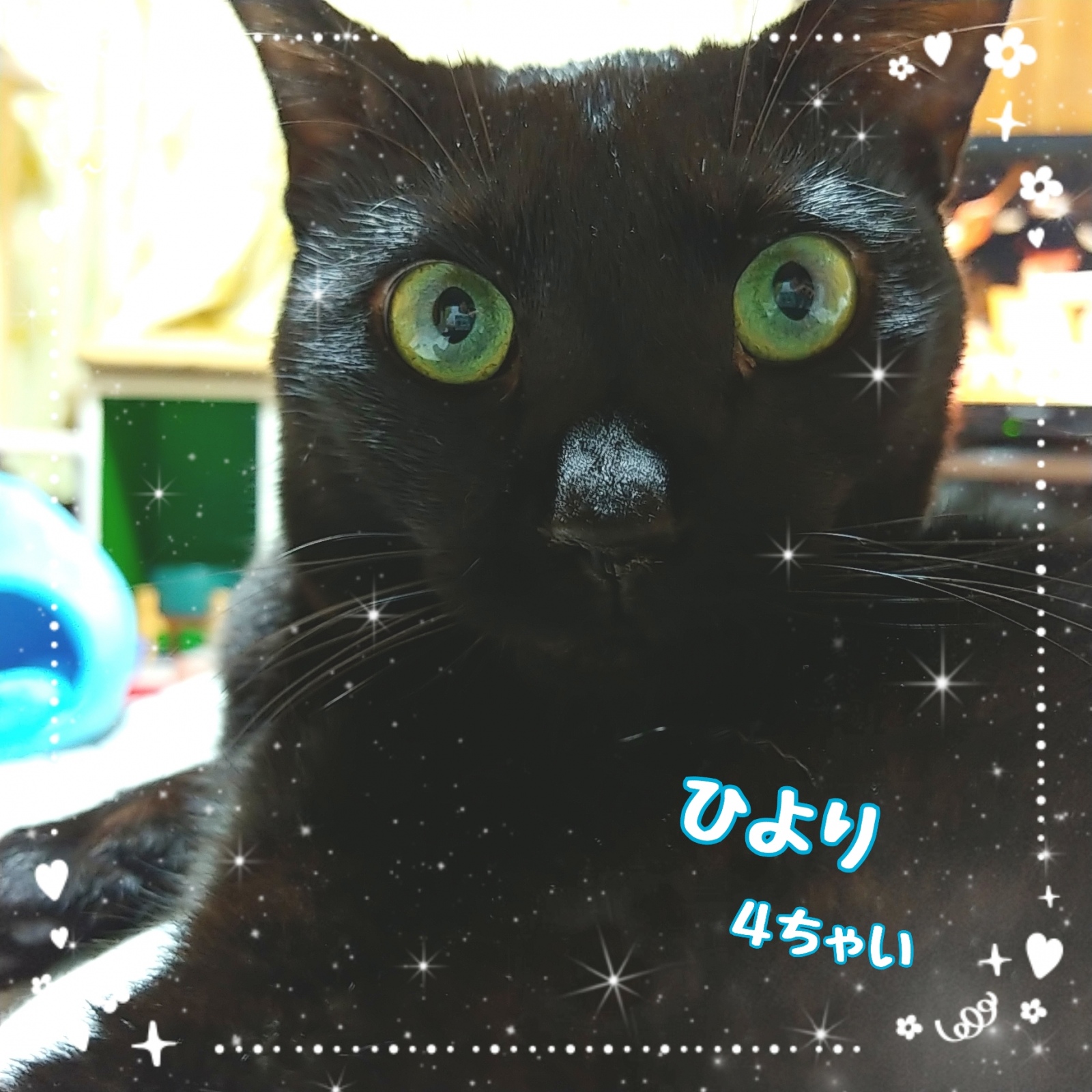 Ђ悽