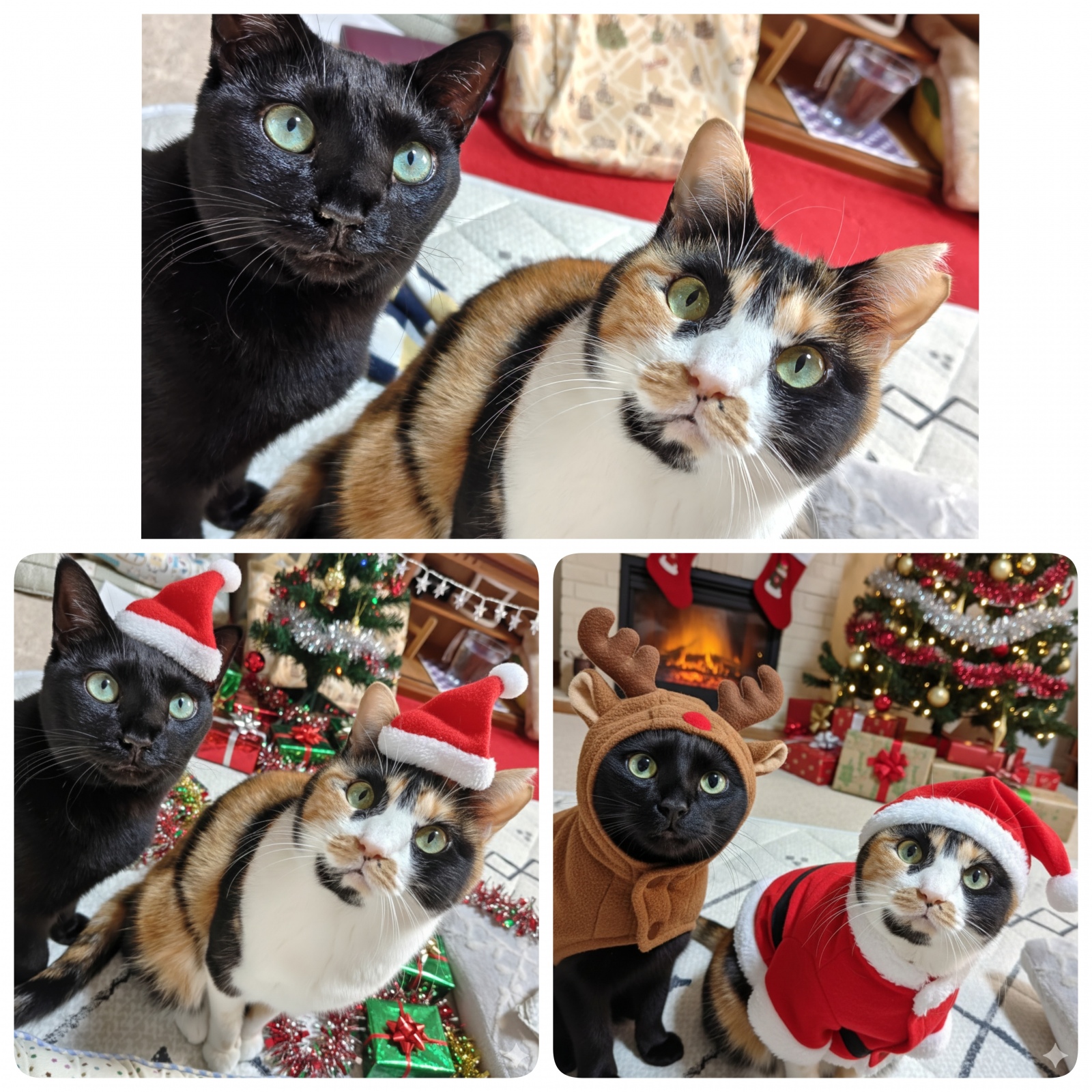 ���[�����Ń����N���B