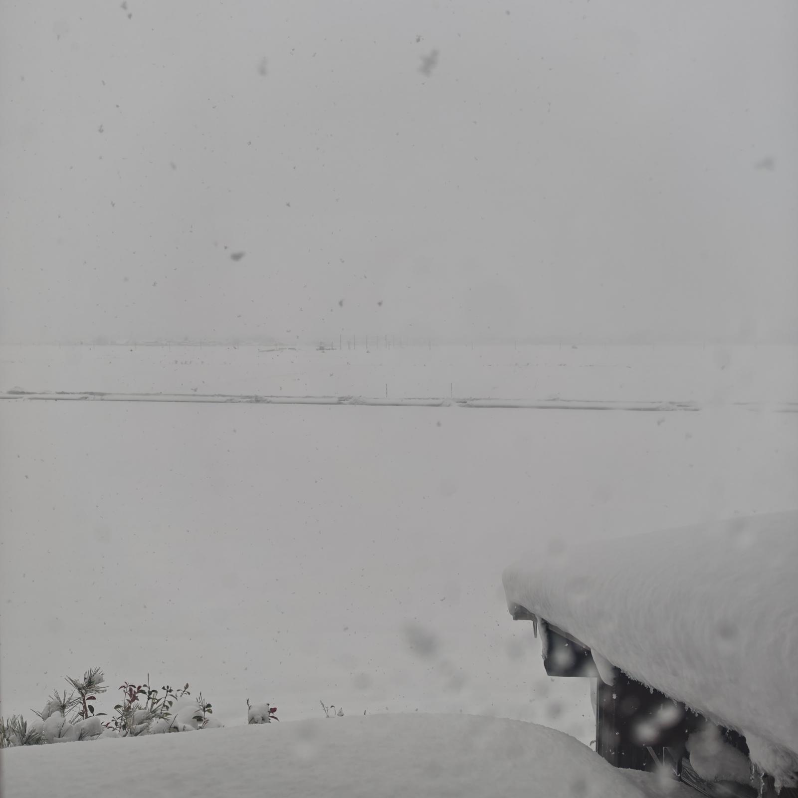 �͂������B