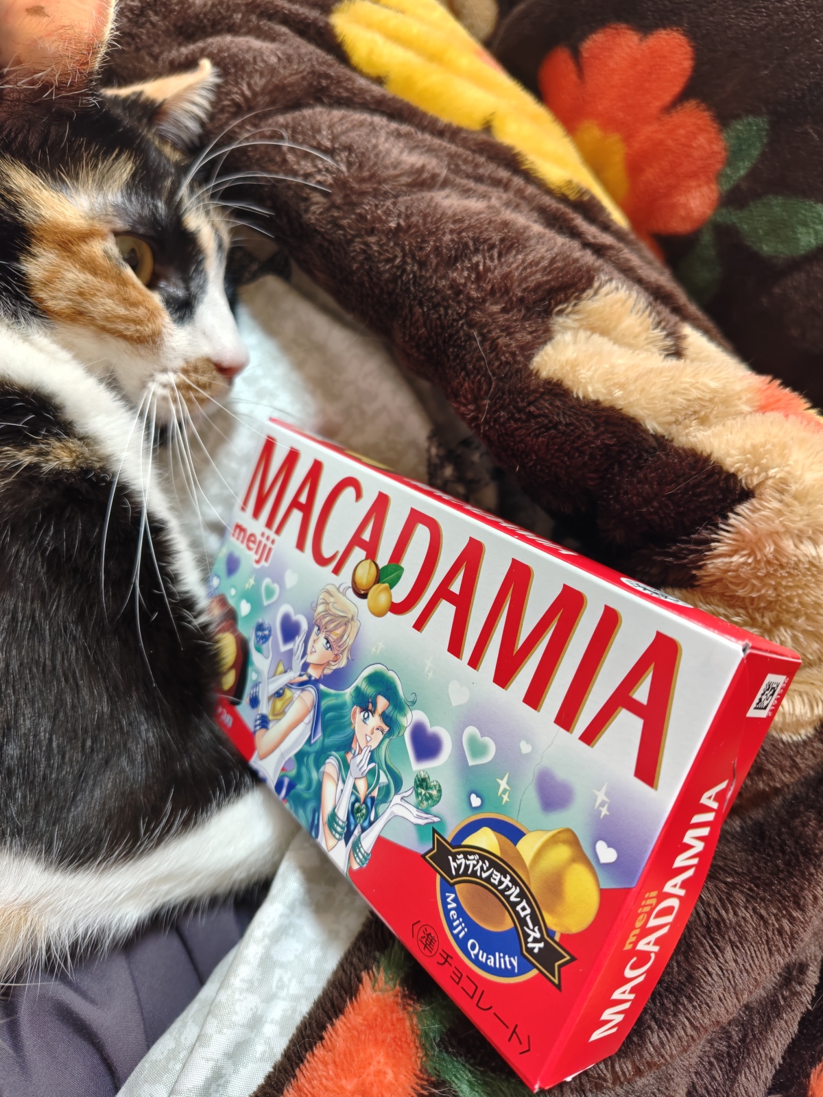 ���񂵂イ����B