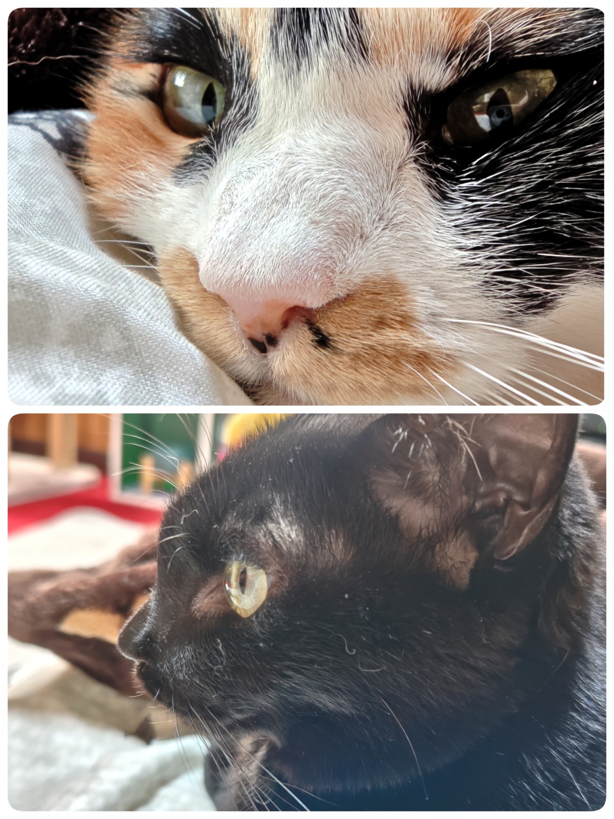 �����イ����B