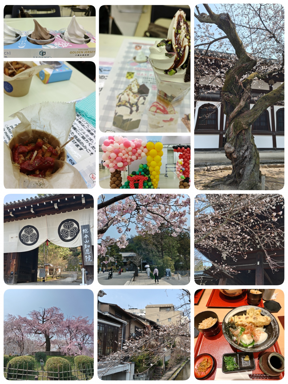 あいぱく&おはなみあるき。