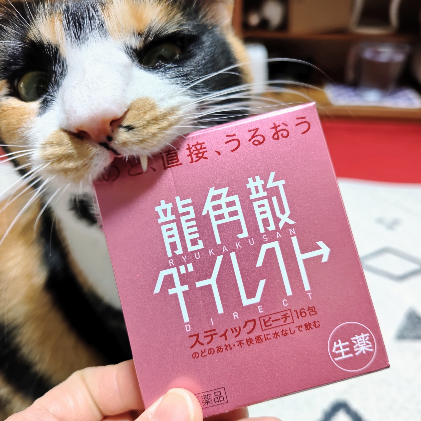 �����ꂭ�ƁB