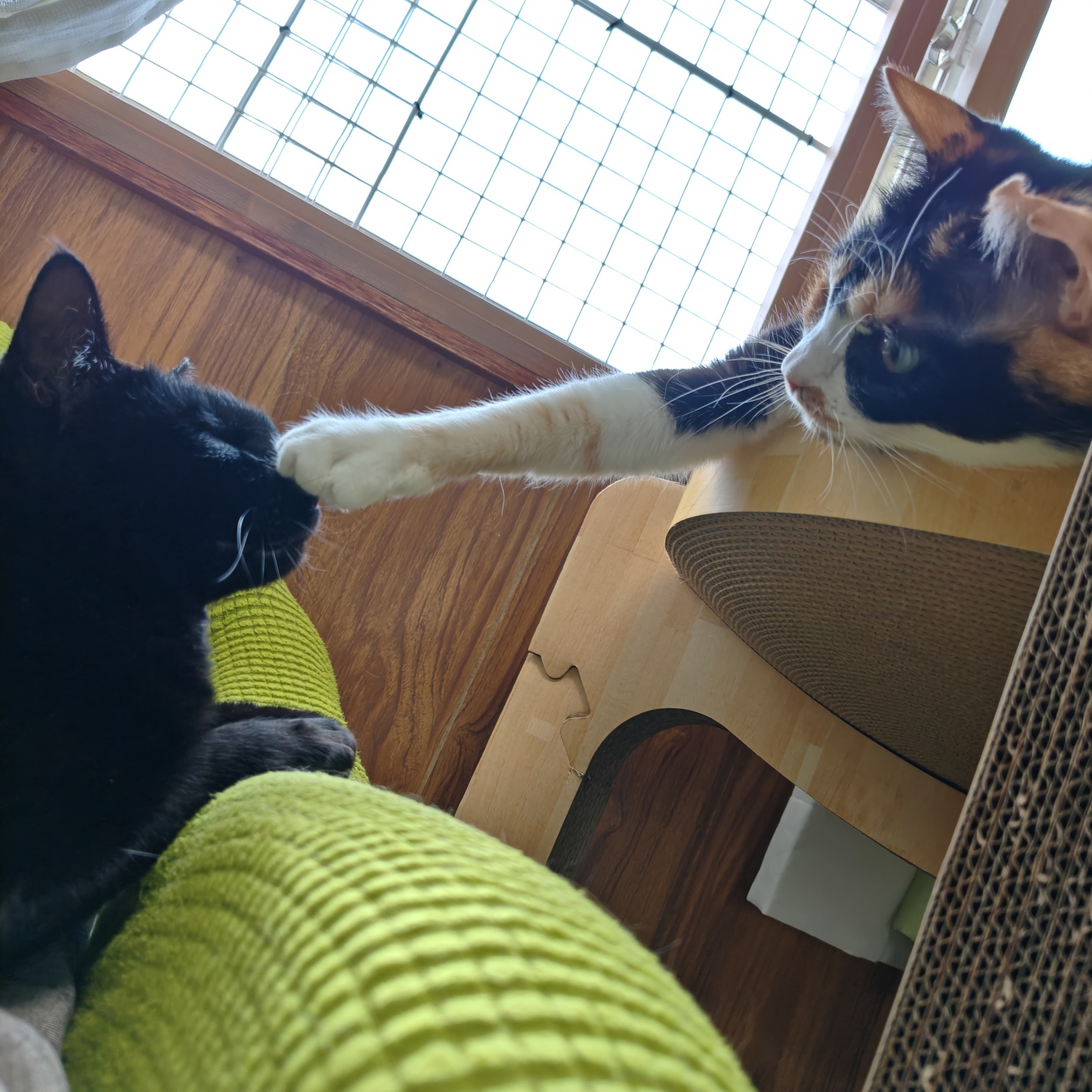 �������B