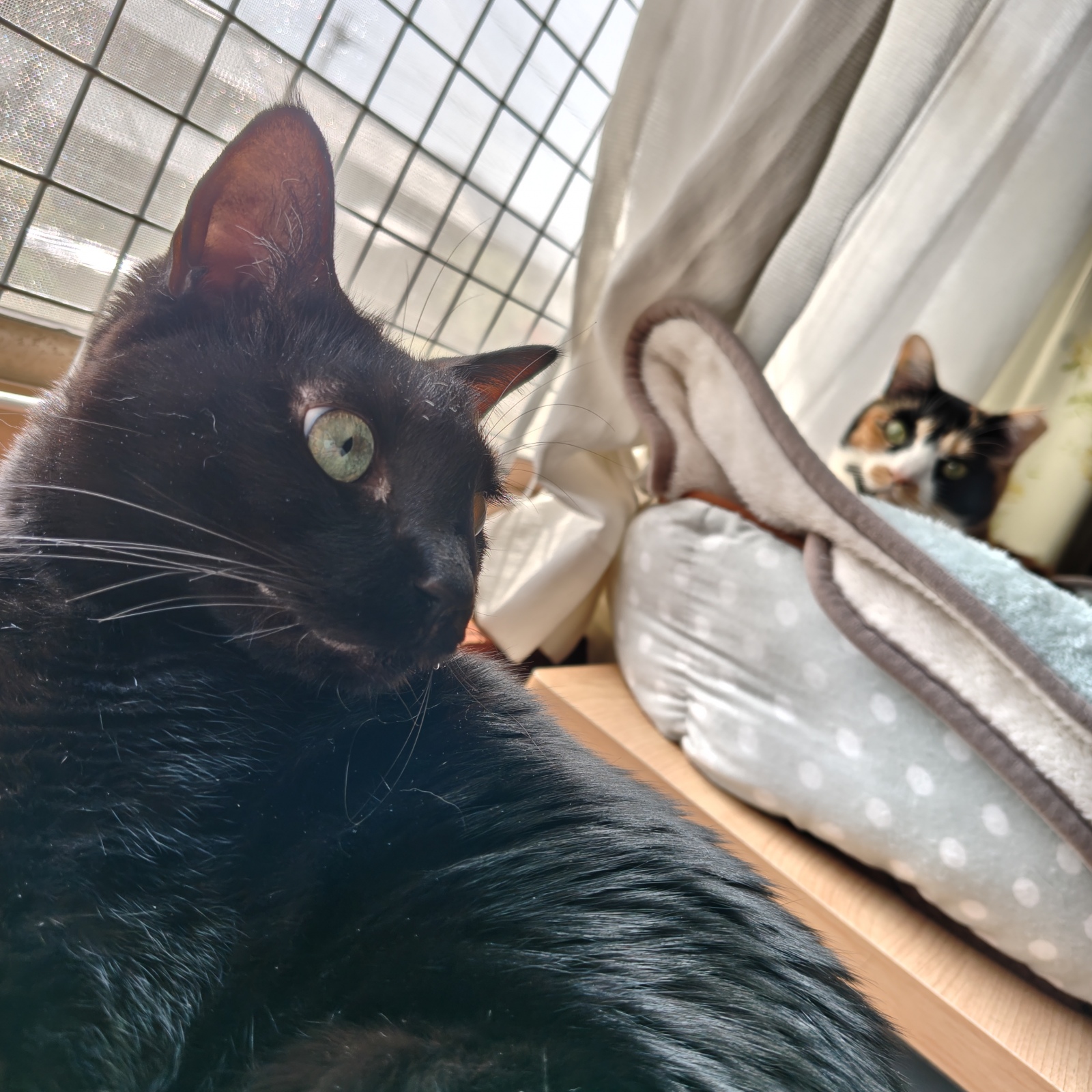 �����[�����B