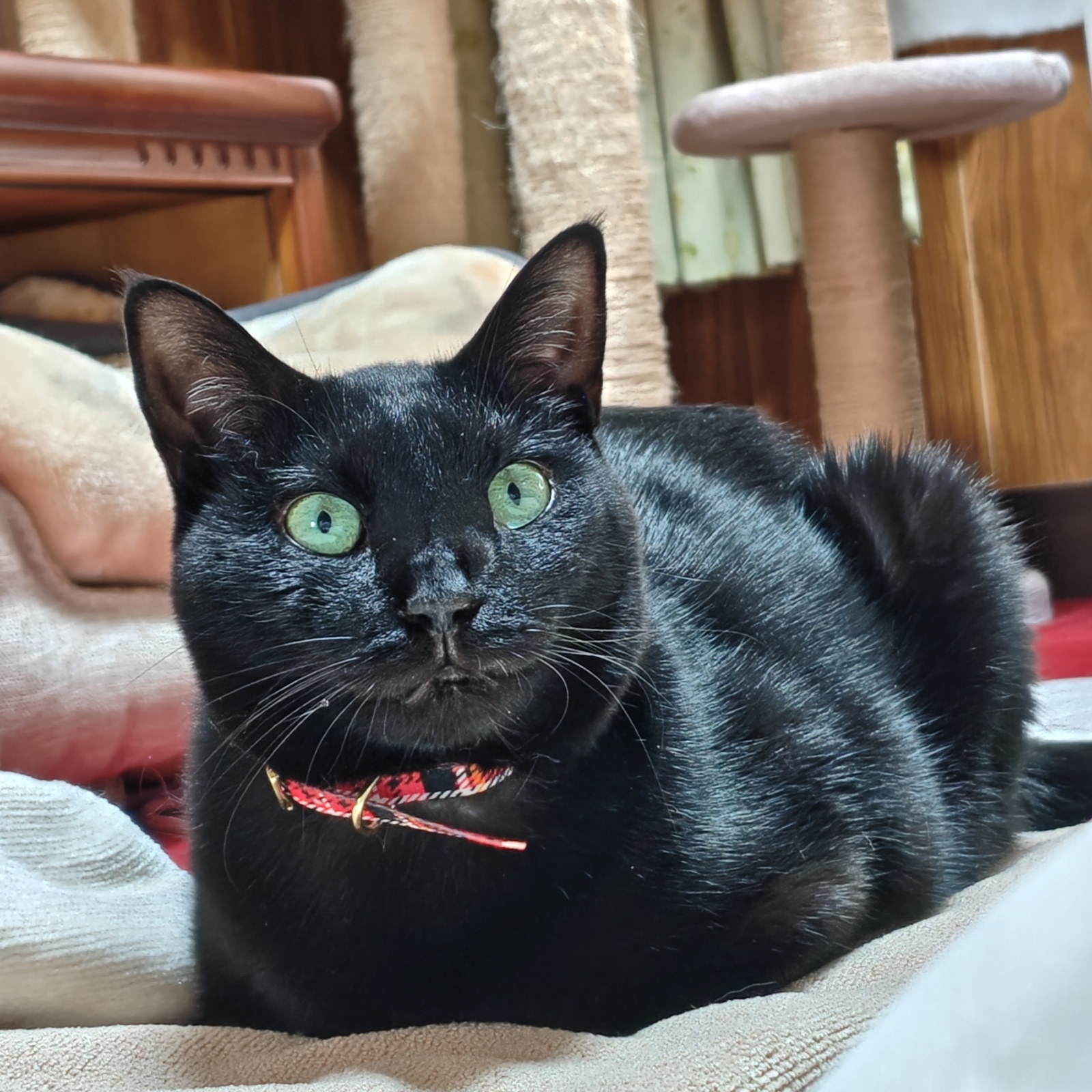 ����������B