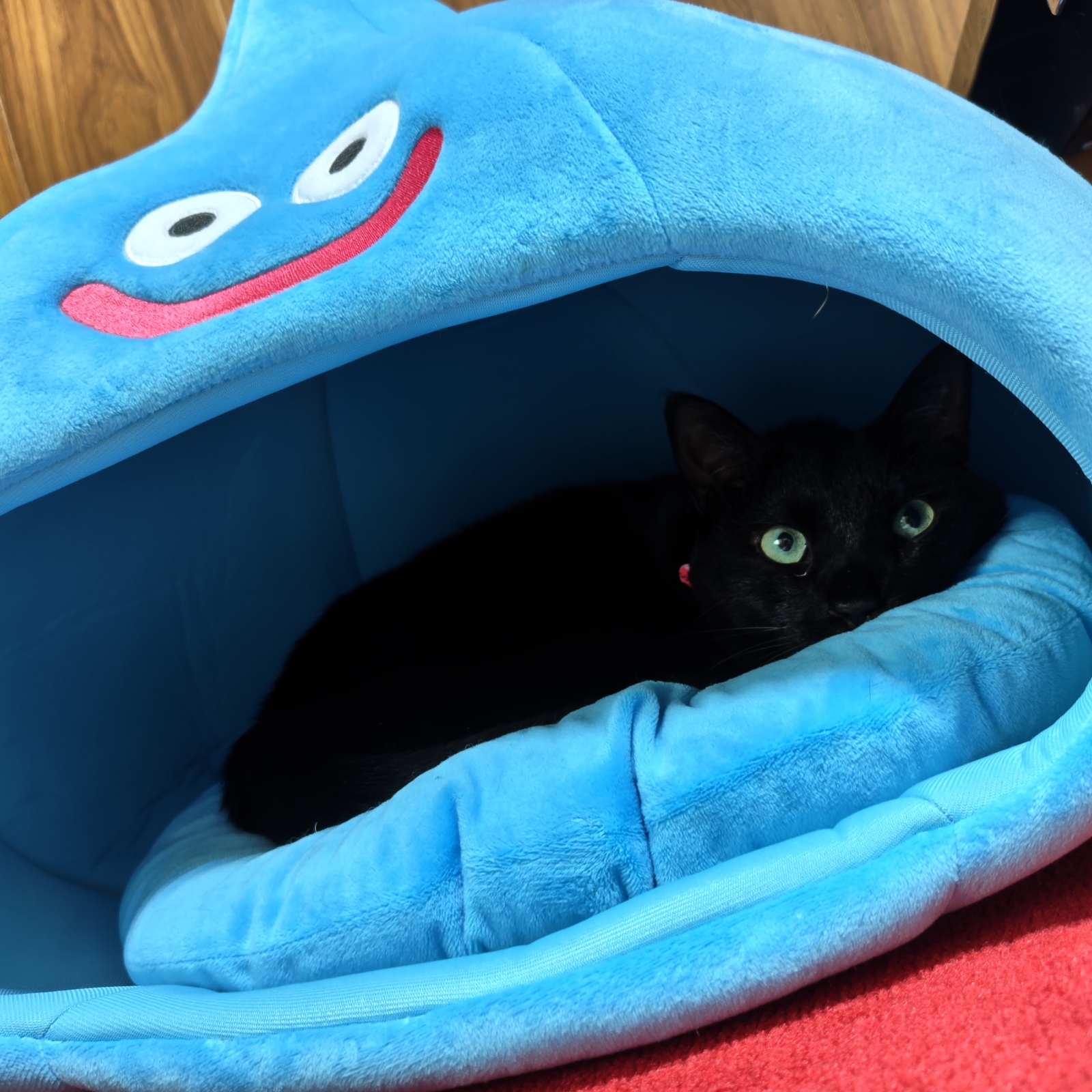 �Q���[��߁B