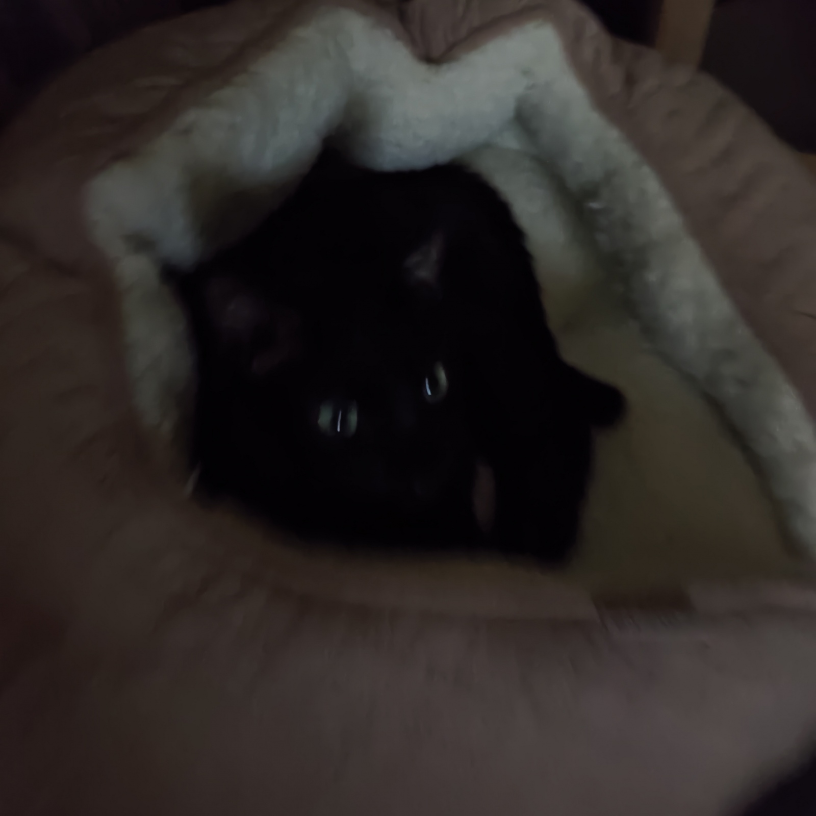�����B