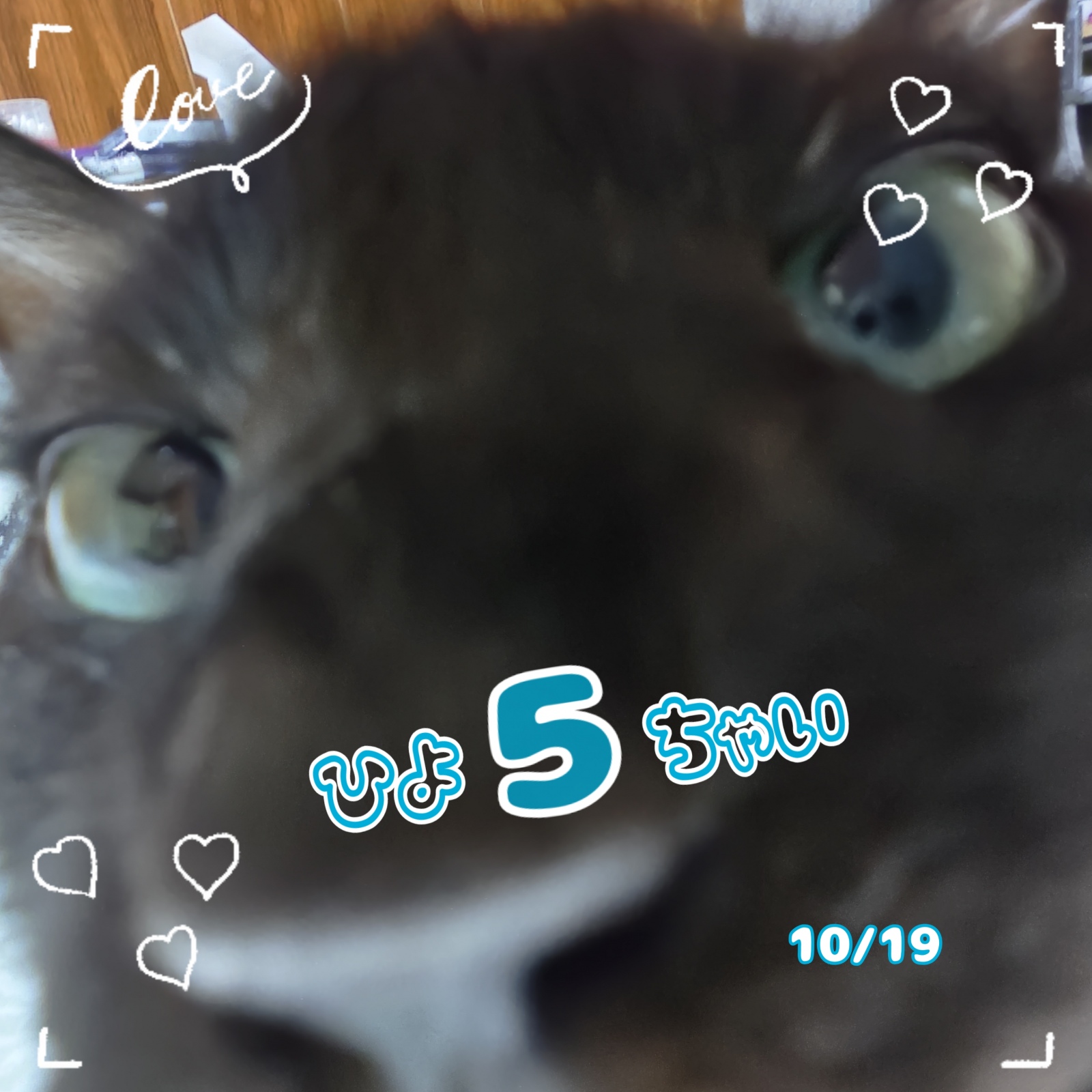 �Ђ悽��B